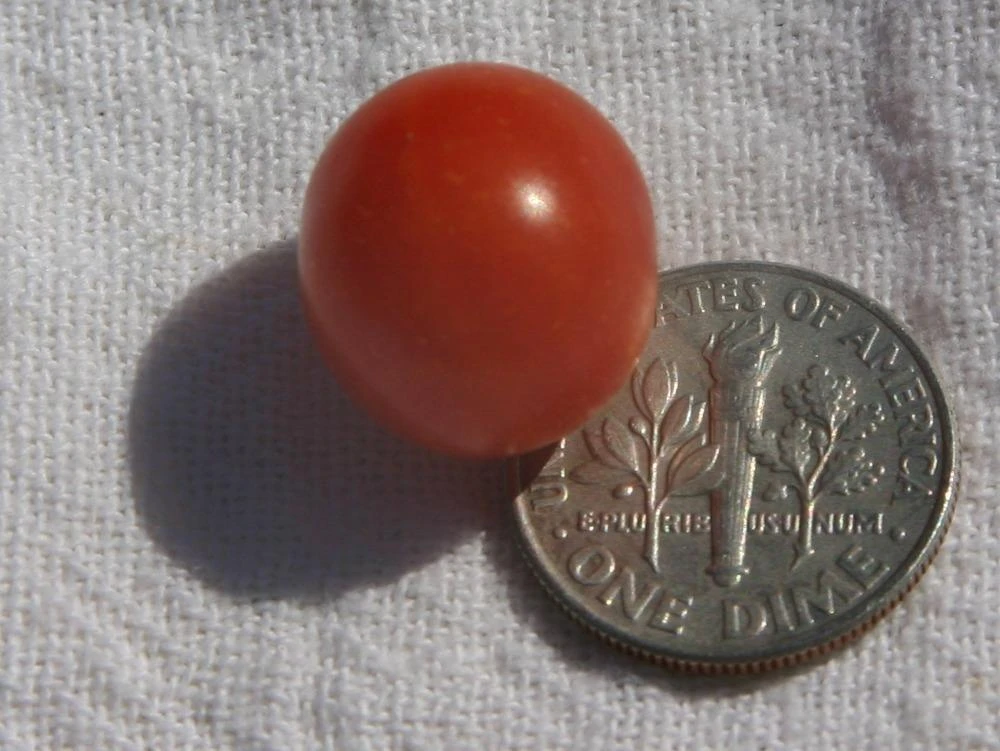 Mexico Midget Tomato - Image 4