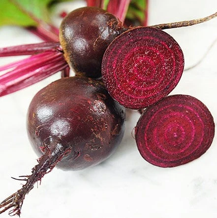 Ruby Queen Beet - Image 3