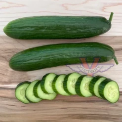 Beit Alpha Cucumber