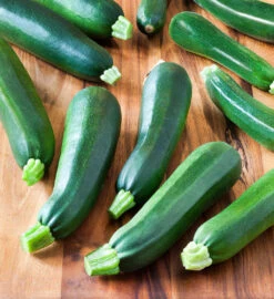 Black Beauty Zucchini Summer Squash