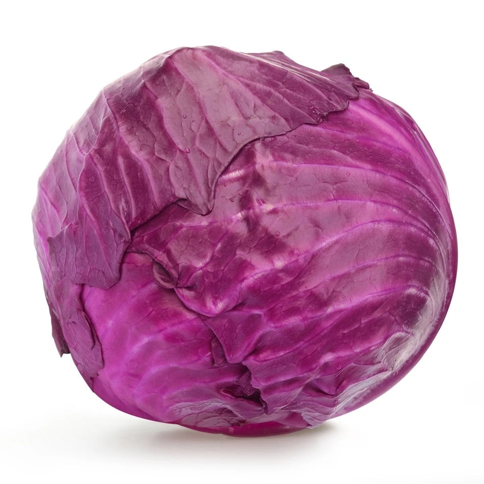 Red Acre Cabbage - Image 2