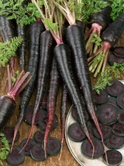 Black Nebula Carrot