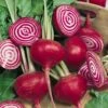 Chioggia (Bull's Eye) Beet