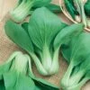 Bok Choy (Pak Choi)