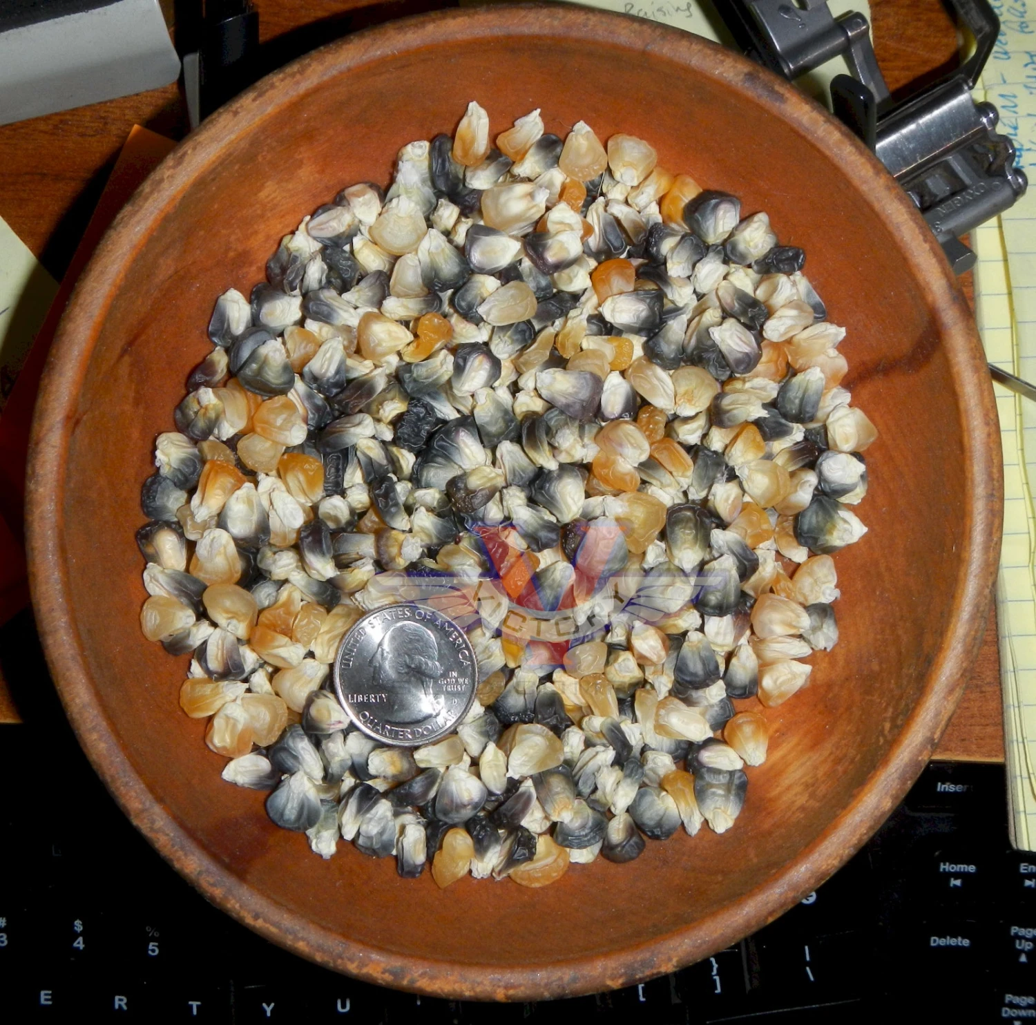 Triple Play Sweet Corn - Image 3