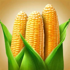 Golden Beauty F1 Sweet Corn