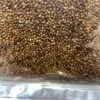 Shallu Sorghum (aka Egyptian Wheat)