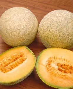 Honey Rock Melon