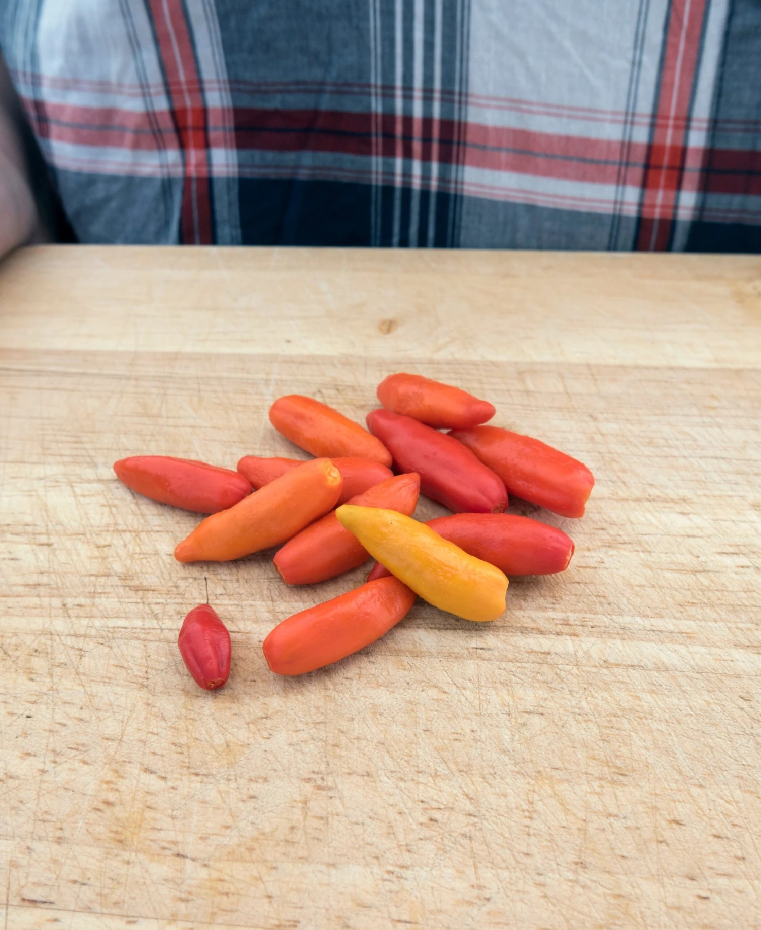 Tabasco Hot Pepper - Image 2