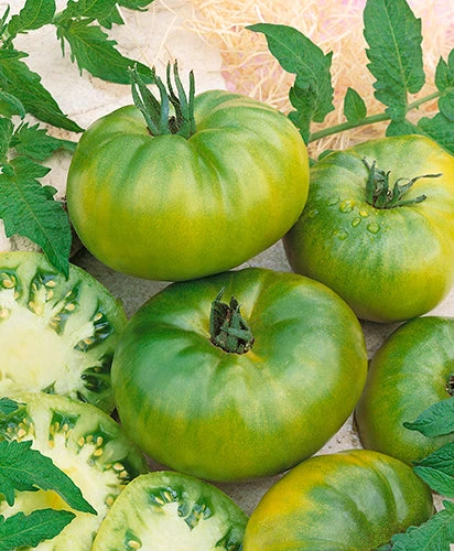 Aunt Ruby's German Green Tomato