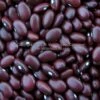 Montezuma Red Bush Dry Bean