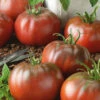 Black From Tula Tomato