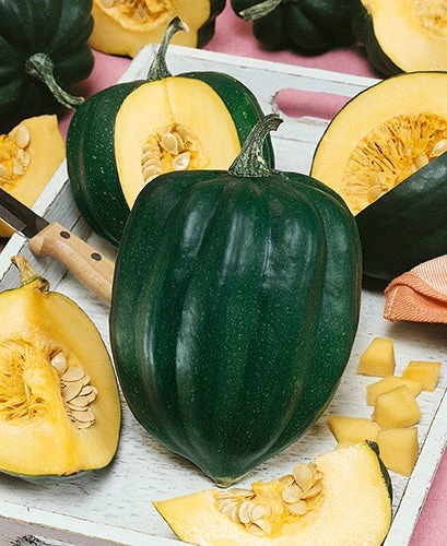 Bush Table King Acorn Winter Squash
