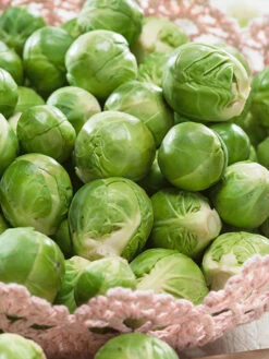 Catskill Brussels Sprouts