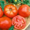 Cherokee (Cherokee Red) Tomato