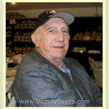 Special Turkish Tomato - Image 5