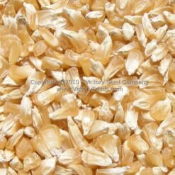 Country Gentleman Sweet Corn