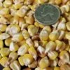 Trucker's Favorite Yellow Dent Corn