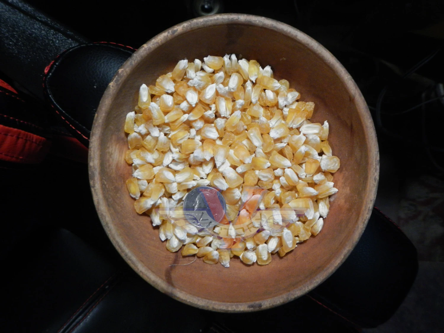 True Gold Sweet Corn - Image 4