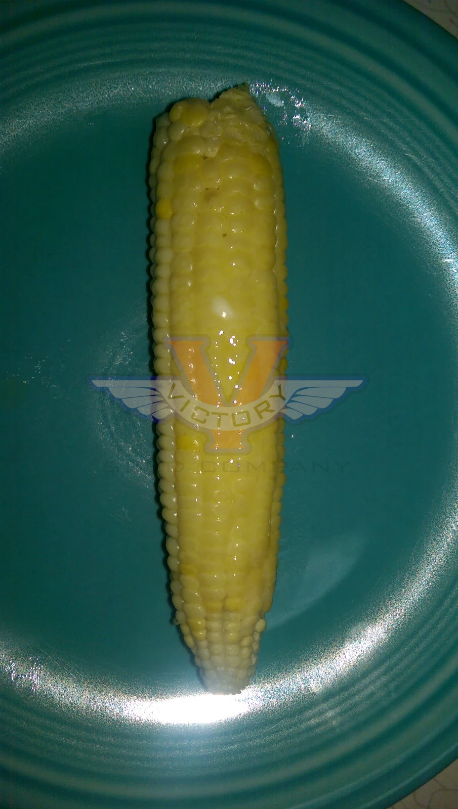 True Gold Sweet Corn - Image 2