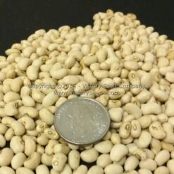 Champion Southern Pea