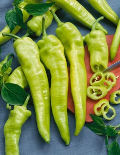 Hungarian Yellow Wax (Hot Banana) Hot Pepper