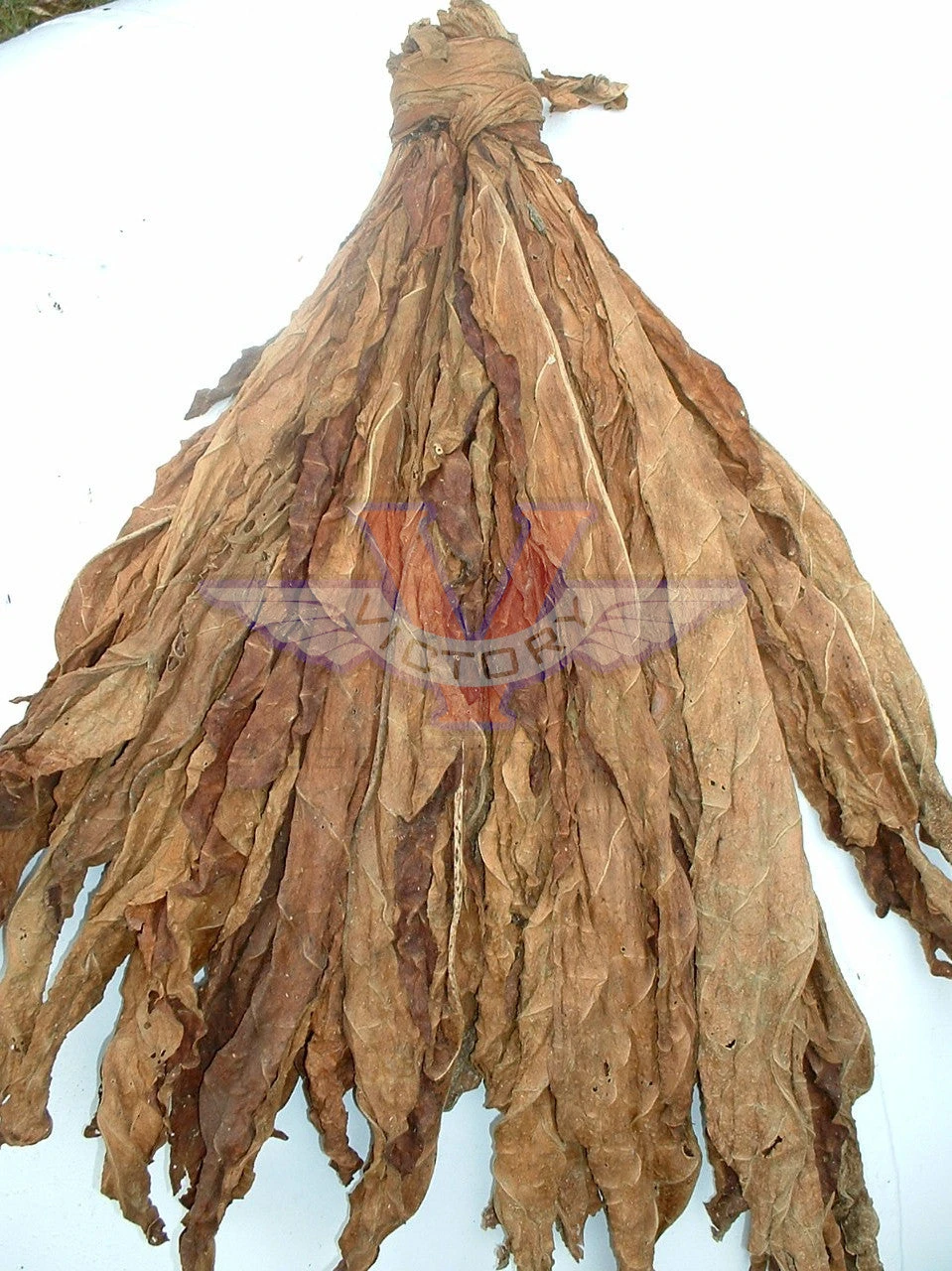 Little Dutch Tobacco - Image 3