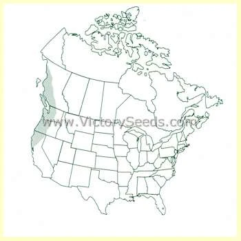 Pacific Northwest Wildflower Mix