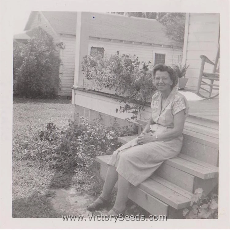 Mama Payton's Okra - Image 4