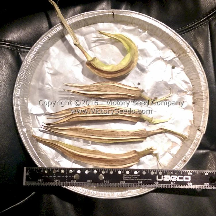 Mama Payton's Okra - Image 5