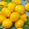 Plum Lemon Tomato