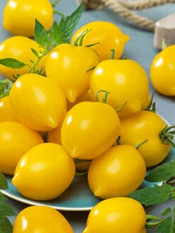 Plum Lemon Tomato