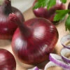 Red Burgundy Onion