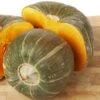 Burgess Buttercup Winter Squash