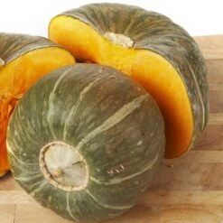Burgess Buttercup Winter Squash