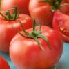Super Sioux Tomato