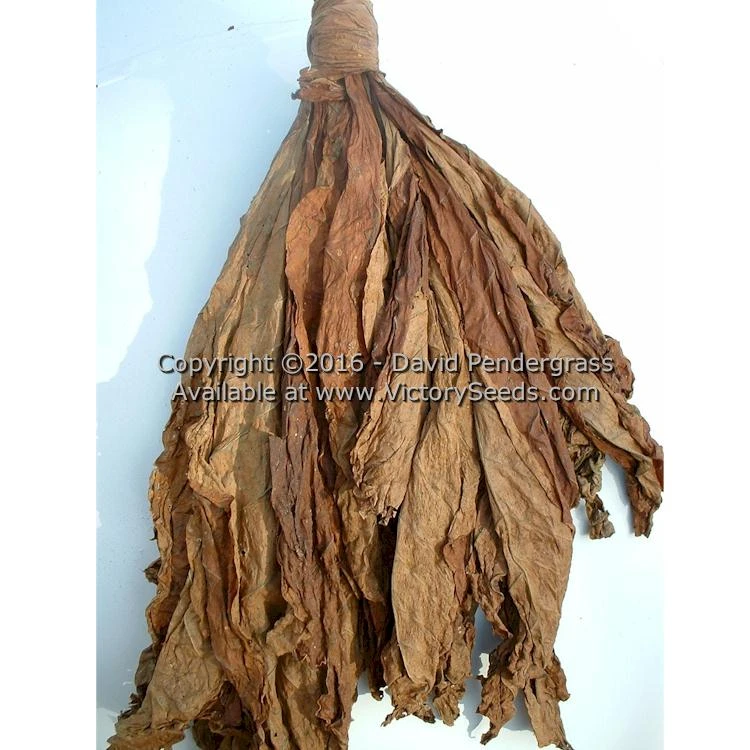 Bonanza Tobacco - Image 4