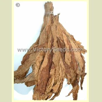 Paris Wrapper Tobacco - Image 4