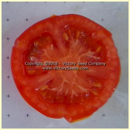 Abu Rawan Tomato - Image 2