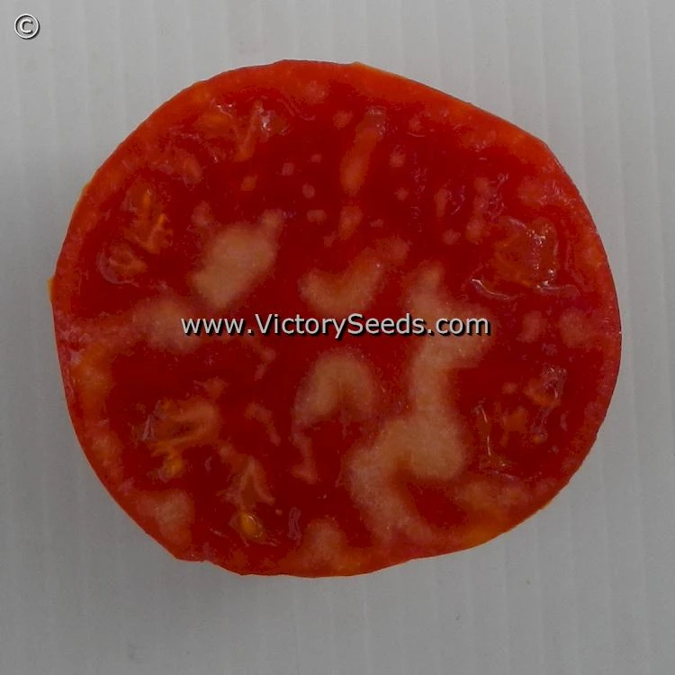 Aker's West Virginia Tomato - Image 2