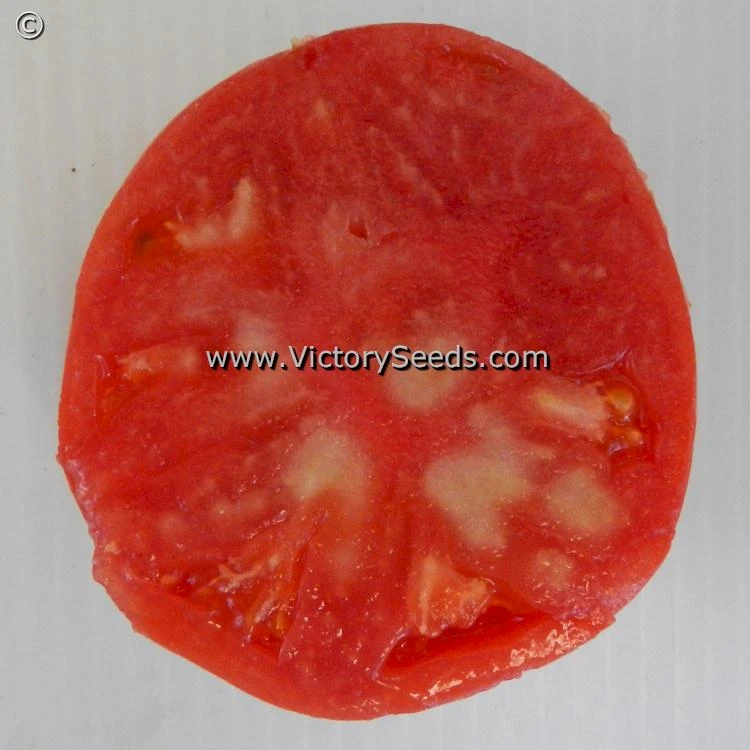 Bell's German Pink Tomato - Image 2