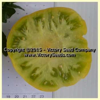 Big Green Dwarf Tomato - Image 5