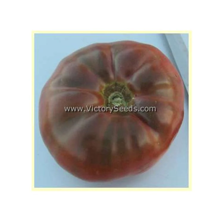 BrandyFred Tomato - Image 5