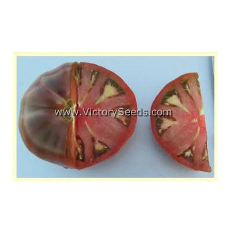 BrandyFred Tomato - Image 6