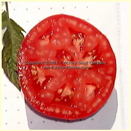 Burpee's 'Globe' Tomato - Image 2