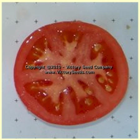 Burpee's 'Globe' Tomato - Image 6