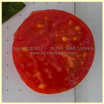 Caitlin's Lucky Stripe Tomato - Image 2