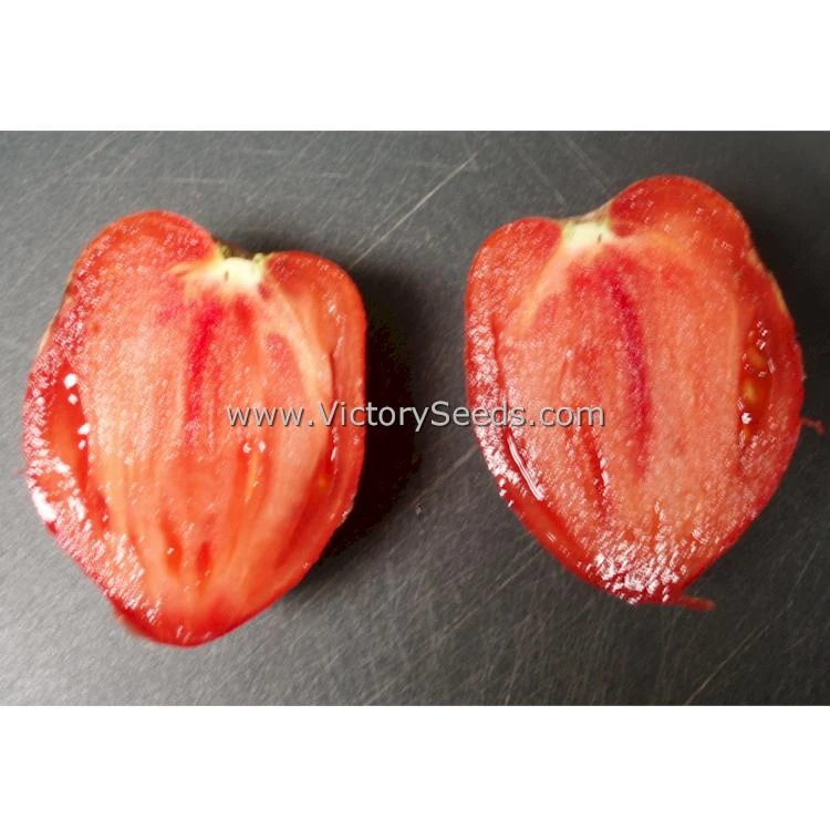 Cancelmo Family Heirloom Tomato - Image 2