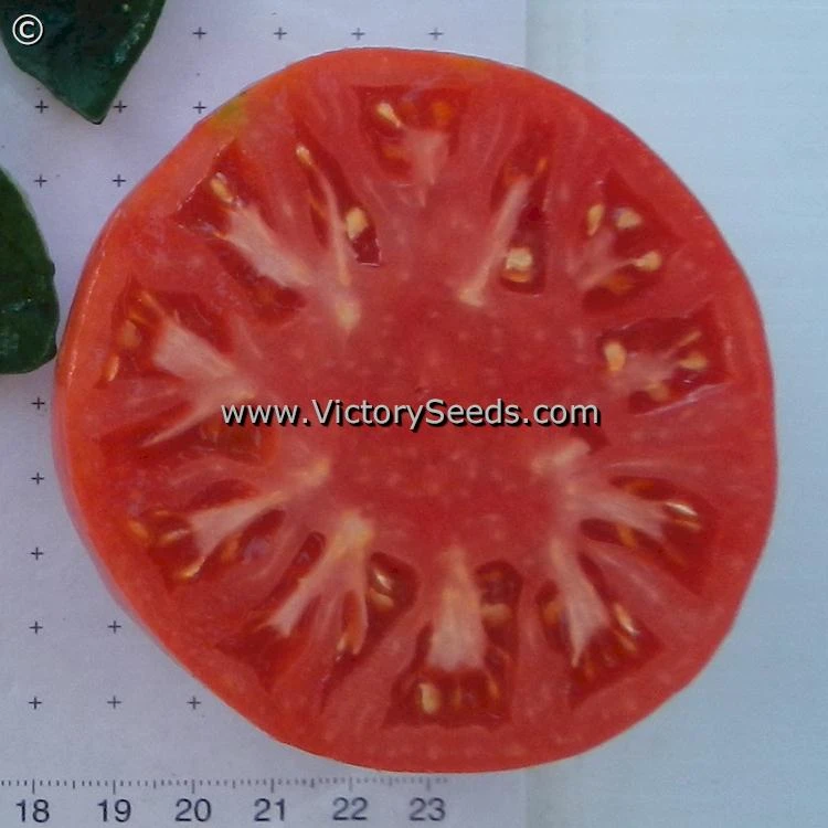 Caspian Pink Tomato - Image 3