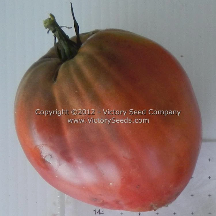 Cherokee Purple Heart Tomato - Image 5